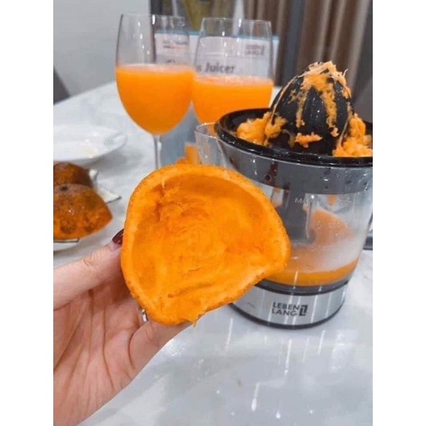 M&aacute;y vắt cam 2 chiều LEBENLANG 0.7l - LB389 Thương Hiệu Đức