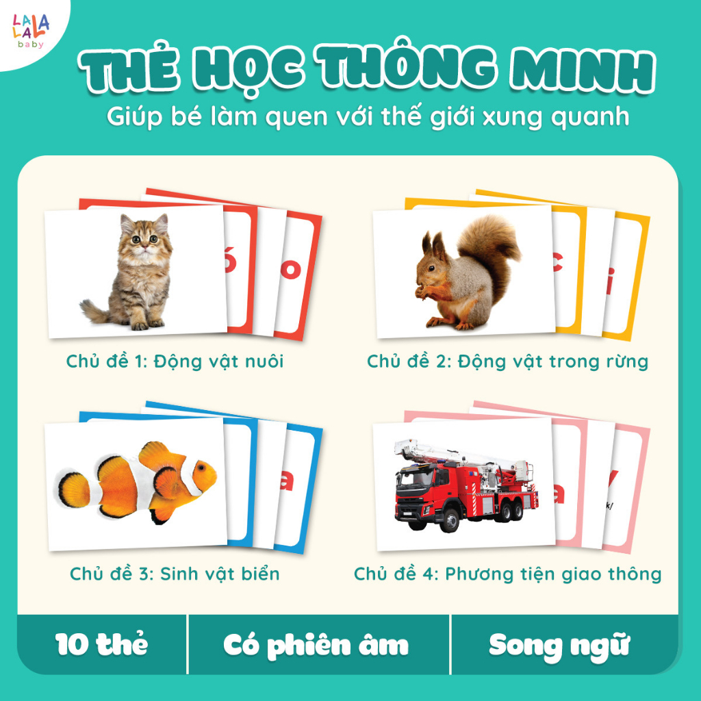 Bộ Thẻ Học Glenn Doman - Thương hiệu LALALA BABY Song ngữ Anh Việt - Thế Giới Xung Quanh 100 thẻ Hot