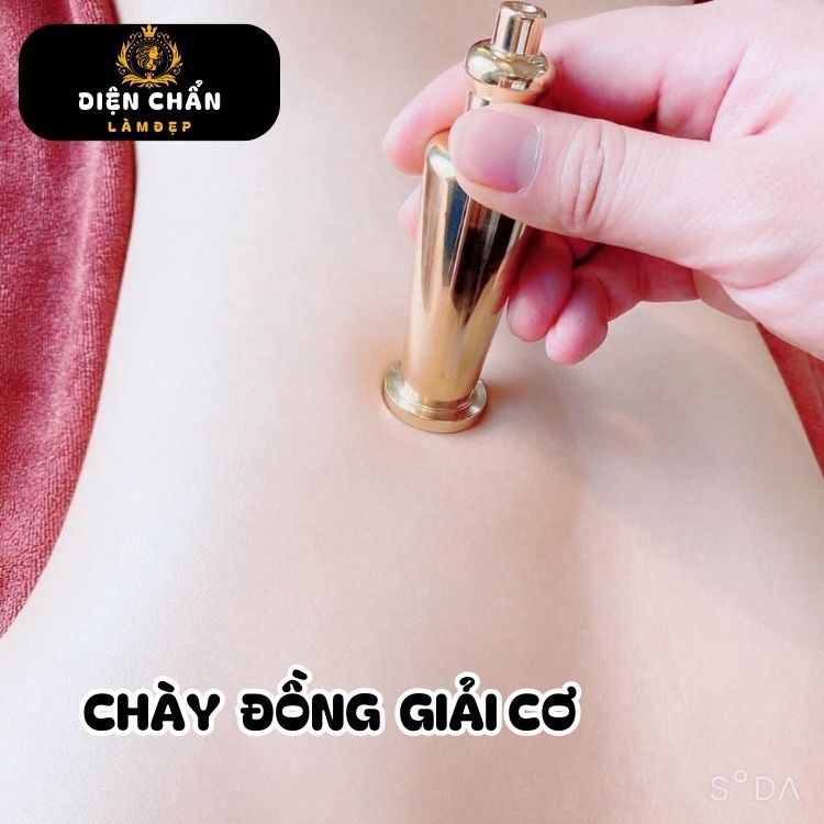 Ch&agrave;y Đồng Giải Cơ, Ch&agrave;y Kim Cương Hội Qu&aacute;n Diện Chẩn B&ugrave;i Quốc Ch&acirc;u Cao Cấp