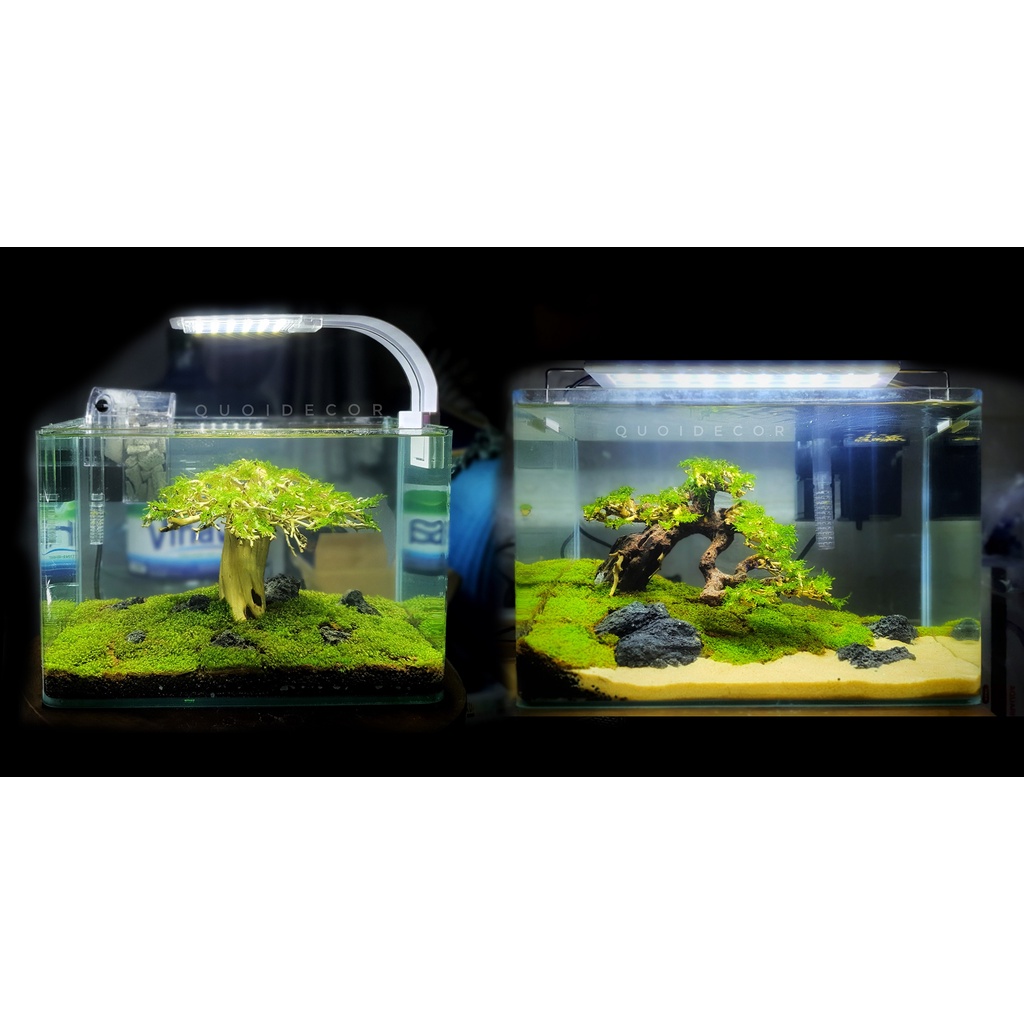 Hồ k&iacute;nh đ&uacute;c nhập khẩu bo cong cạnh m&agrave;i vi t&iacute;nh nhiều k&iacute;ch thước Hot