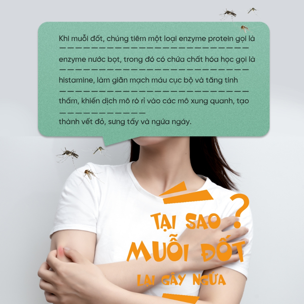 M&aacute;y L&agrave;m Dịu Ngứa Vết C&ocirc;n Tr&ugrave;ng Đốt LINKA M7 HOT