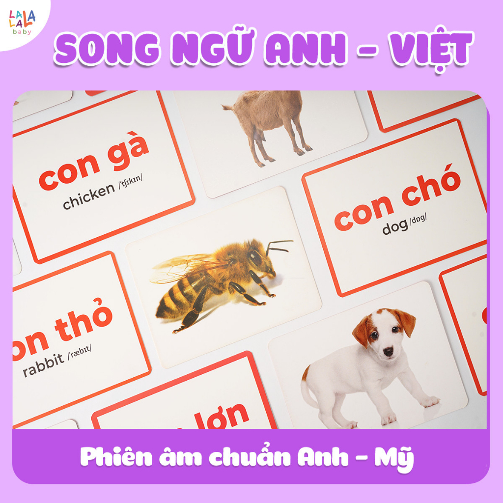 Bộ Thẻ Học Glenn Doman - Thương hiệu LALALA BABY Song ngữ Anh Việt - Thế Giới Xung Quanh 100 thẻ Hot