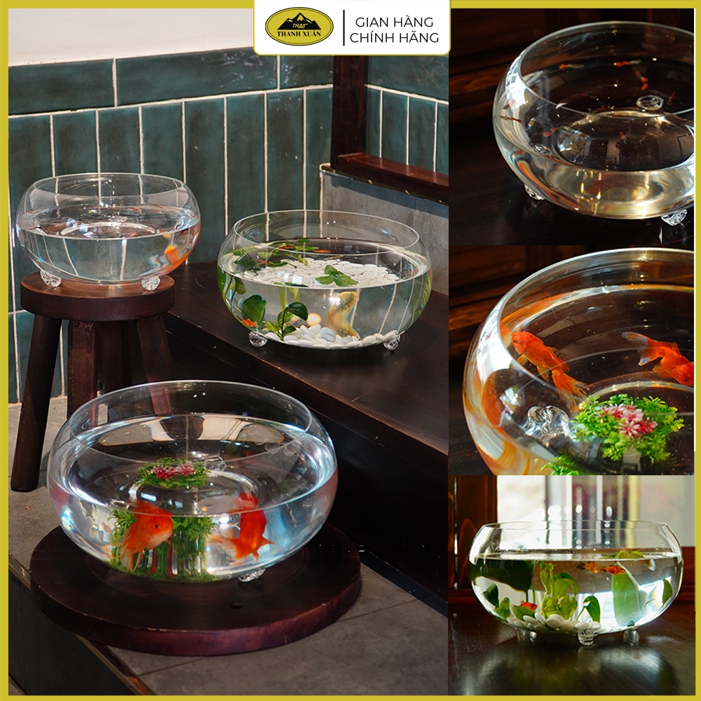 Bể cá thuỷ tinh bán cầu kích thước lớn, cóng cá, bình thả cá trang trí nhà cửa Hot